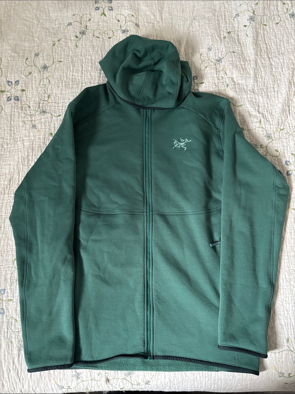 Arc’teryx Kyanite AR Hoody Men’s Large 2021 Green